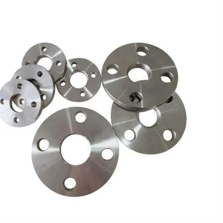 PL RF FLANGE F316L1